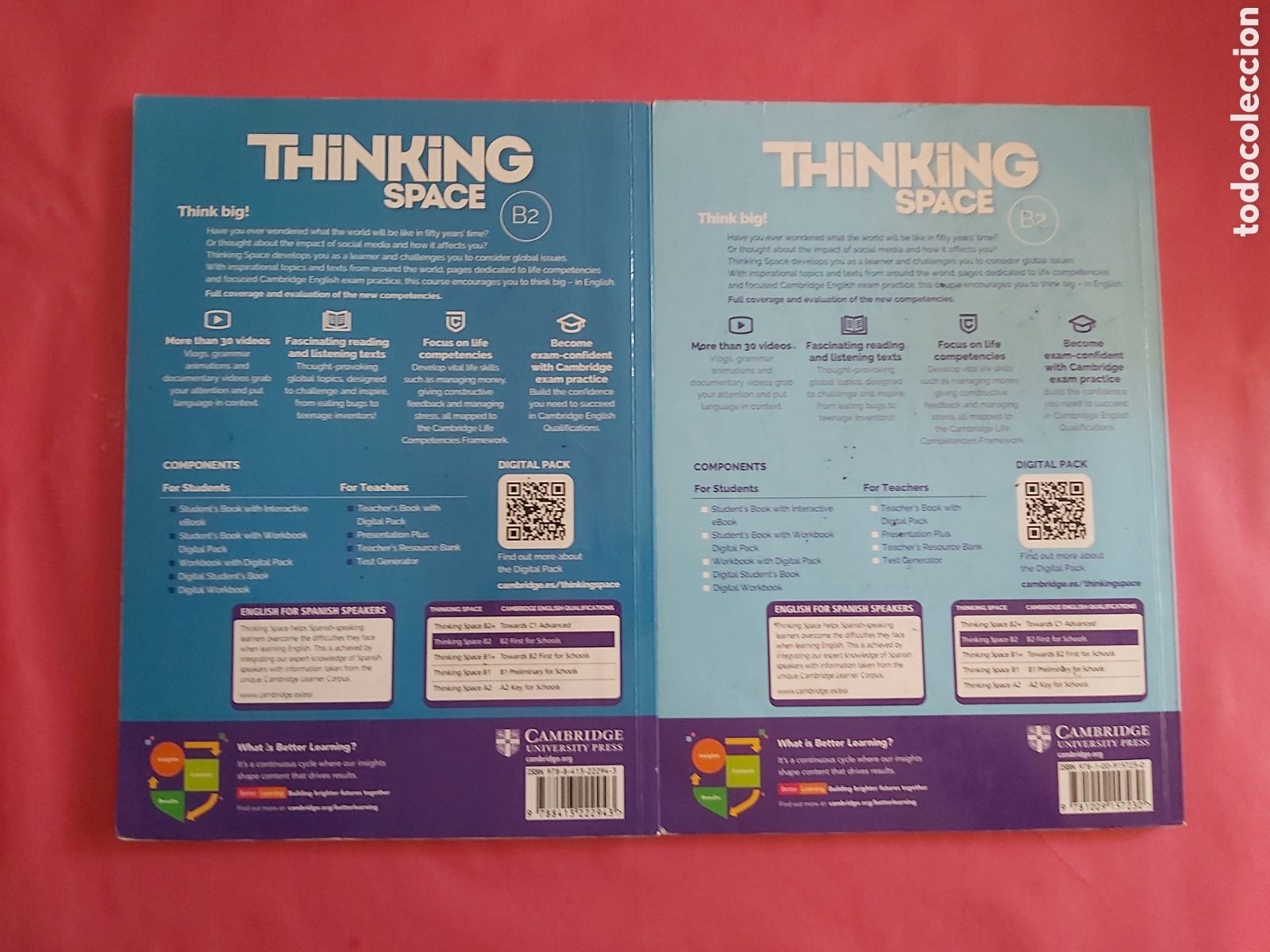 Libros de segunda mano: STUDENTS BOOK + WORKBOOK THINKING SPACE B2 CAMBRIDGE 2022 - Foto 21