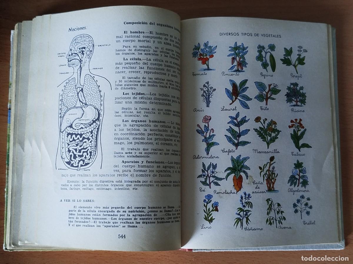 Libros de segunda mano: Enciclopedia &Aacute;lvarez Tercer Grado. Edici&oacute;n 1966 ORIGINAL - Foto 10