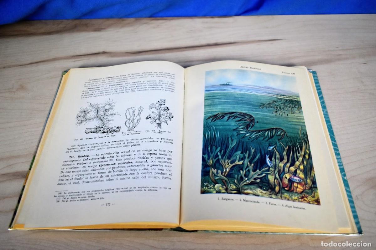 Libros de segunda mano: Historia natural de Luis Vives a&ntilde;o 1964 - Foto 3