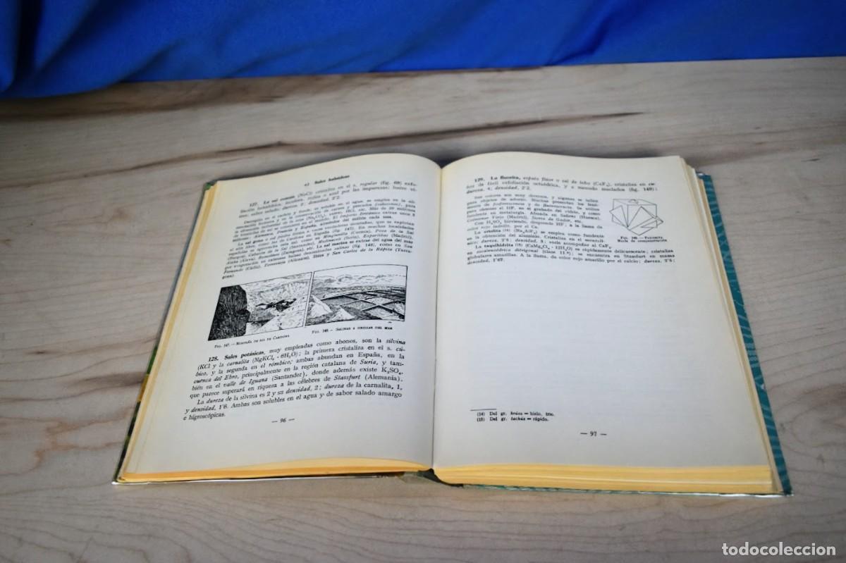 Libros de segunda mano: Historia natural de Luis Vives a&ntilde;o 1964 - Foto 4