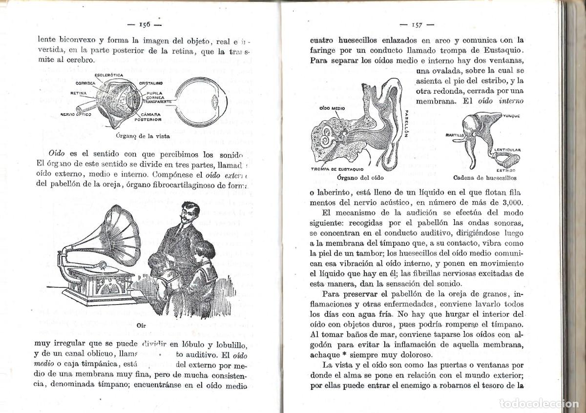 Libros de segunda mano: TESORO DE CONOCIMIENTOS &Uacute;TILES.EDICIONES BRU&Ntilde;O 4&ordf; EDICI&Oacute;N - Foto 4