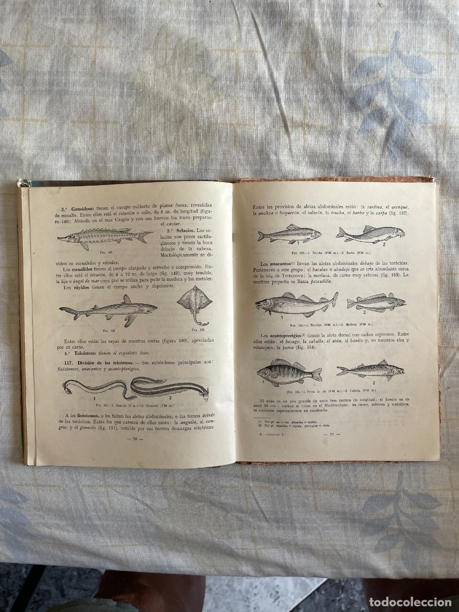 Libros de segunda mano: Lote de libros escolares antiguos - Foto 16