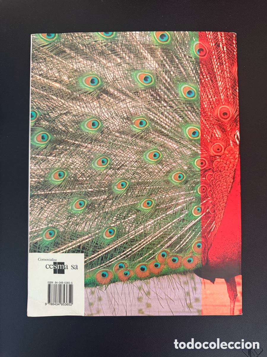 Libros de segunda mano: Educaci&oacute;n Pl&aacute;stica y Visual 2&ordm; Secundaria editorial SM a&ntilde;o 1997 - Foto 2