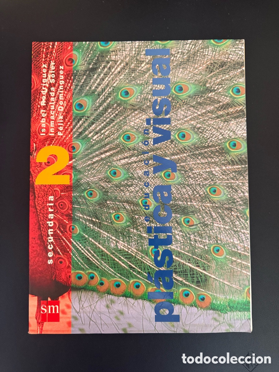 Libros de segunda mano: Educaci&oacute;n Pl&aacute;stica y Visual 2&ordm; Secundaria editorial SM a&ntilde;o 1997 - Foto 1