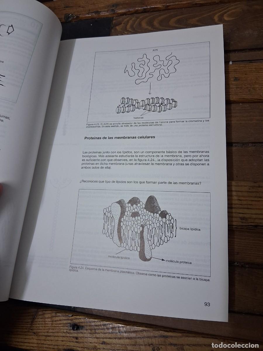 Libros de segunda mano: Libro biolog&iacute;a COU Cidead - Foto 4