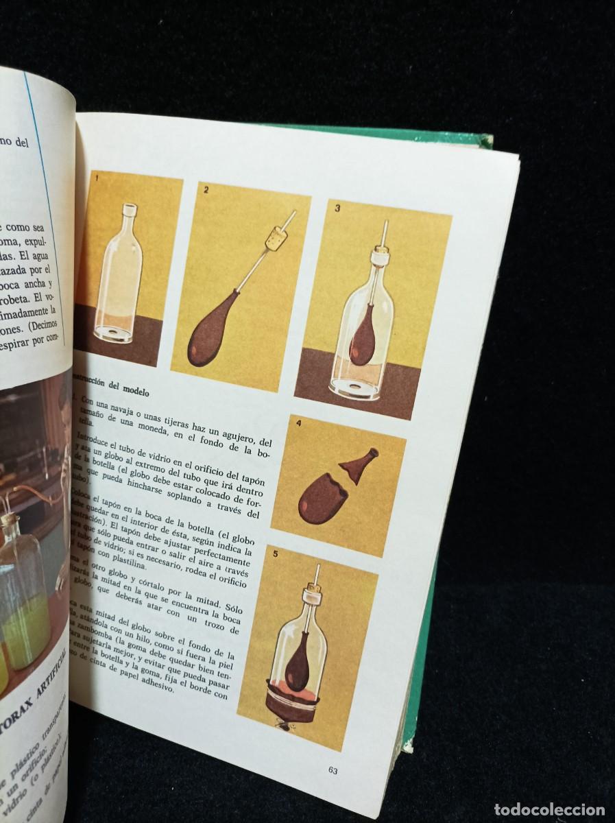 Libros de segunda mano: CONSULTOR - CIENCIAS NATURALES - 6&deg; EGB - Foto 5