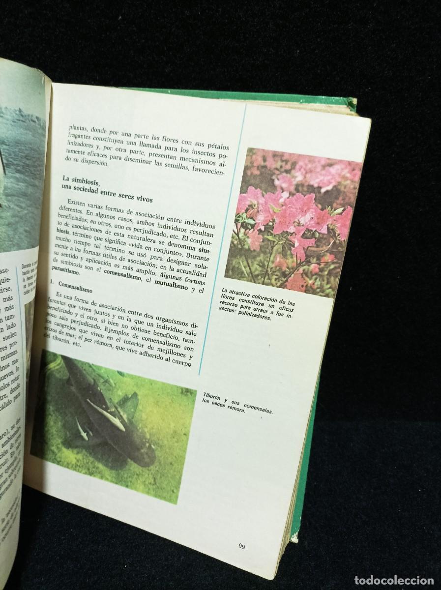 Libros de segunda mano: CONSULTOR - CIENCIAS NATURALES - 6&deg; EGB - Foto 6
