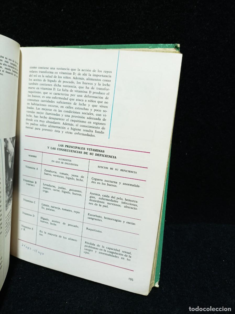 Libros de segunda mano: CONSULTOR - CIENCIAS NATURALES - 6&deg; EGB - Foto 7