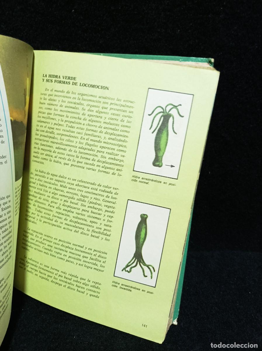 Libros de segunda mano: CONSULTOR - CIENCIAS NATURALES - 6&deg; EGB - Foto 8