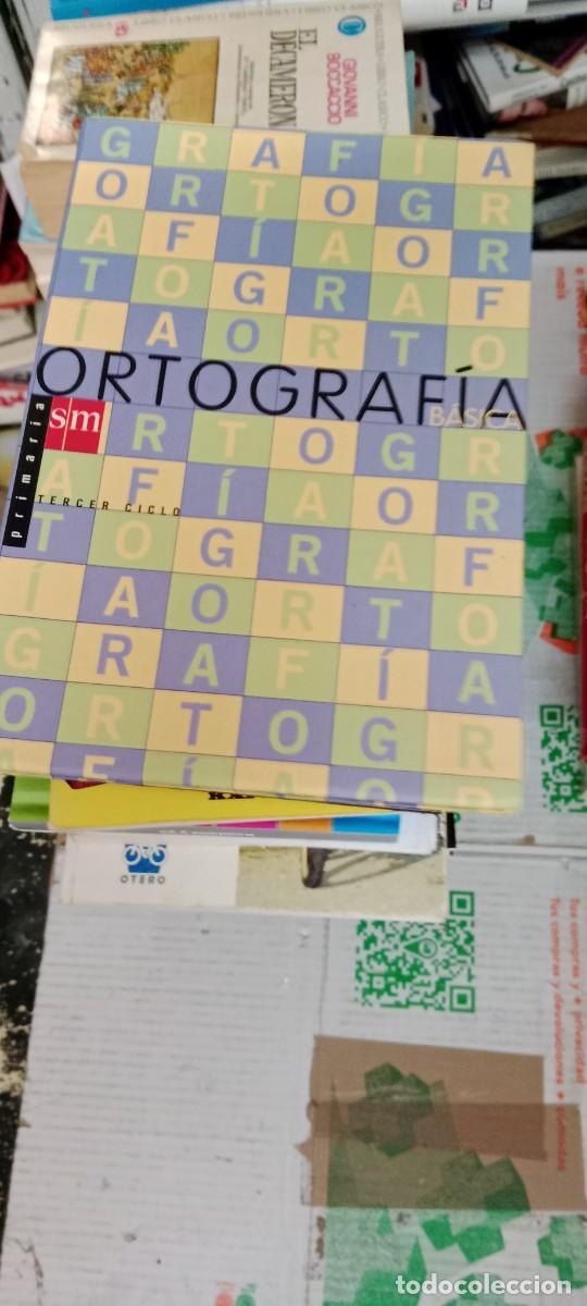 Libros de segunda mano: GG-GAT LIBRO ORTOGRAFIA BASICA SM - Foto 1