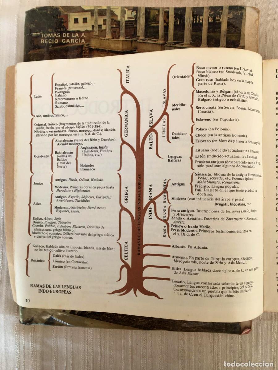 Libros de segunda mano: Lote de dos libros de lat&iacute;n de BUP y diccionario con ap&eacute;ndice de gram&aacute;tica - Foto 6