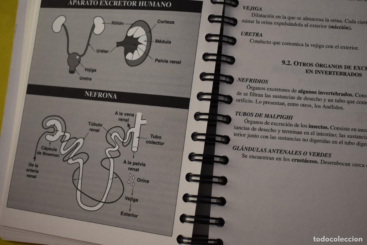 Libros de segunda mano: Libro de testo. 1&ordm; ESO. Biolog&iacute;a f&aacute;cil. Editorial Espasa - Foto 4