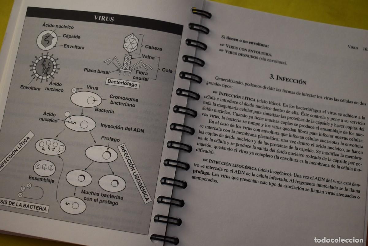 Libros de segunda mano: Libro de testo. 1&ordm; ESO. Biolog&iacute;a f&aacute;cil. Editorial Espasa - Foto 5