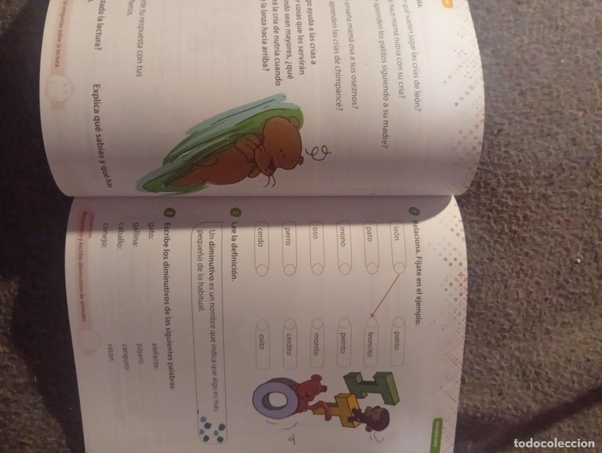Libros de segunda mano: Libro lengua castellana 2 - Foto 5