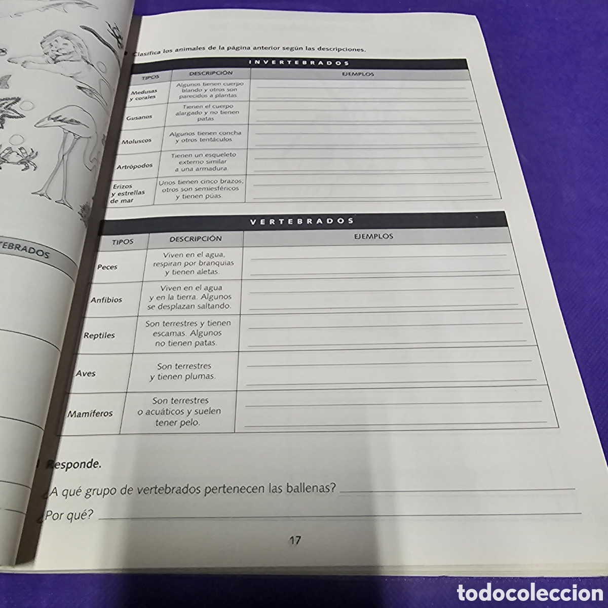 Libros de segunda mano: conocimiento del medio castilla la mancha 5&ordm; - Foto 6