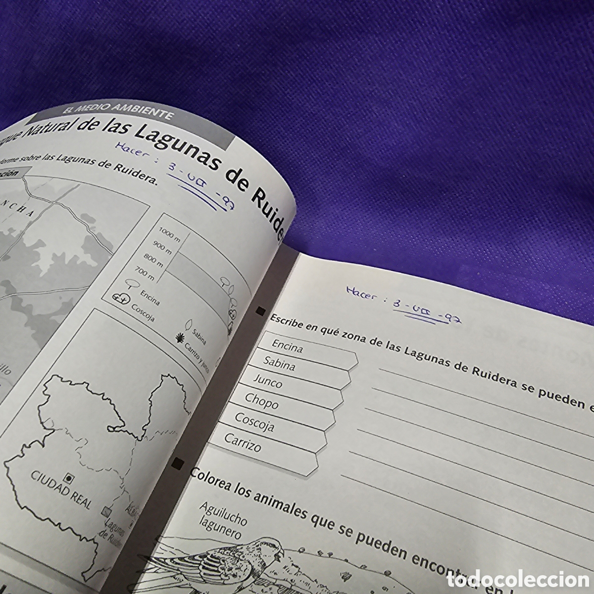 Libros de segunda mano: conocimiento del medio castilla la mancha 5&ordm; - Foto 8