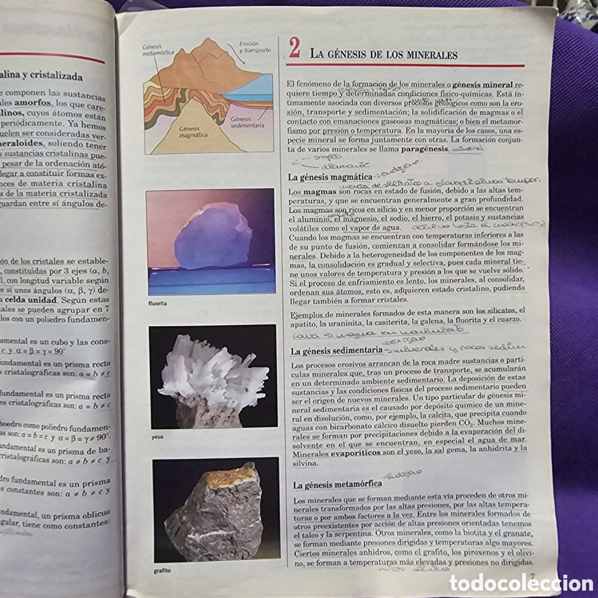 Libros de segunda mano: CIENCIAS NATURALES 3 BUP SANTILLANA - Foto 4