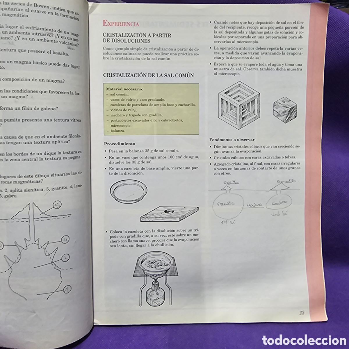 Libros de segunda mano: CIENCIAS NATURALES 3 BUP SANTILLANA - Foto 5