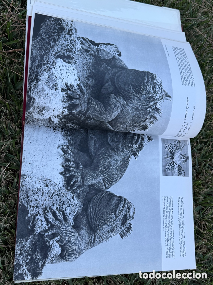 Libros de segunda mano: Les Merveilles des Tropiques - Foto 5