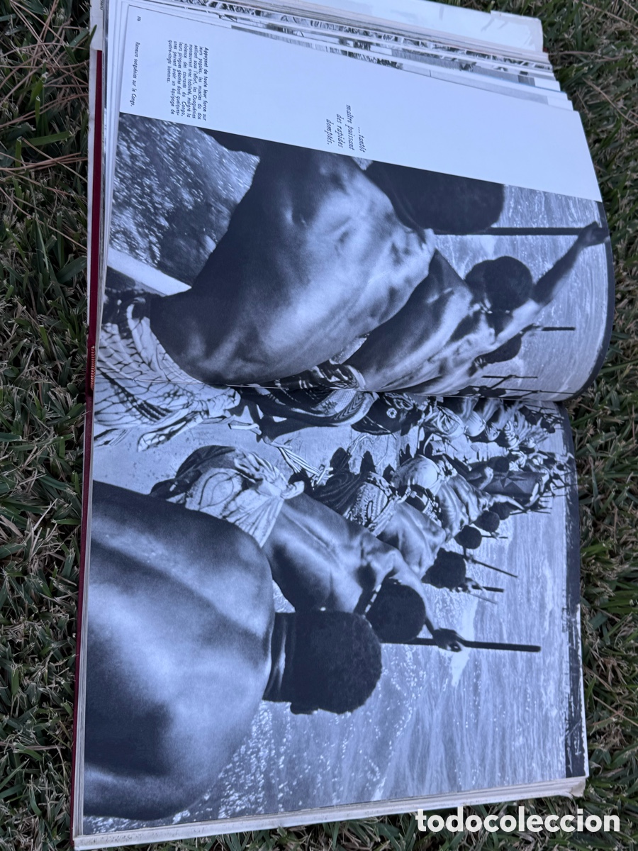 Libros de segunda mano: Les Merveilles des Tropiques - Foto 7