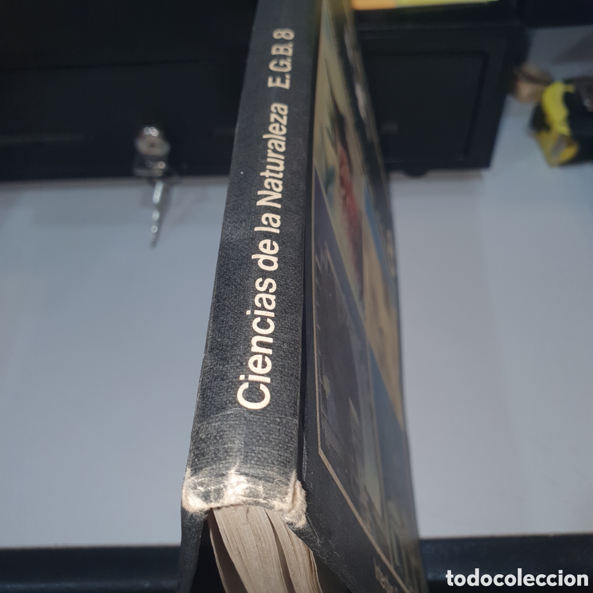 Libros de segunda mano: Ciencias de la Naturaleza. 8 EGB. Interduc/Schroedel - Foto 3