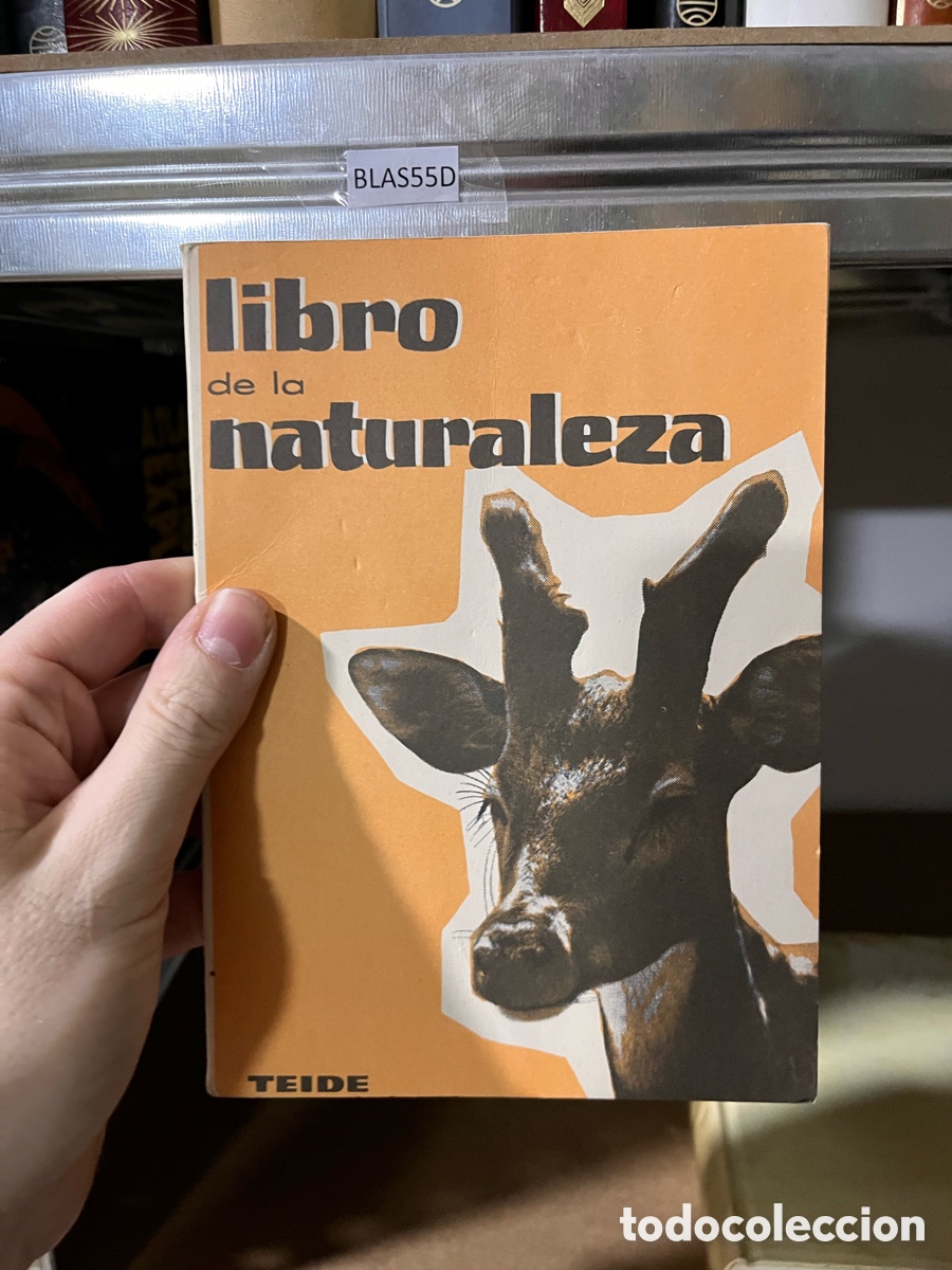 Libros de segunda mano: BLAS55D libro de la naturaleza TEIDE - Foto 1