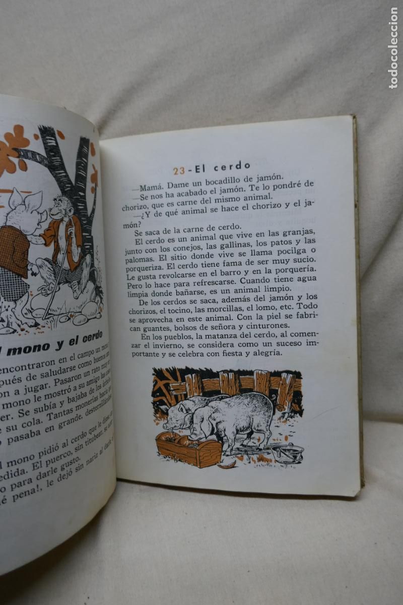 Libros de segunda mano: Lecturas Primeros Pasos ( Primer Libro de Lectura ) Ediciones S. M. - Foto 16