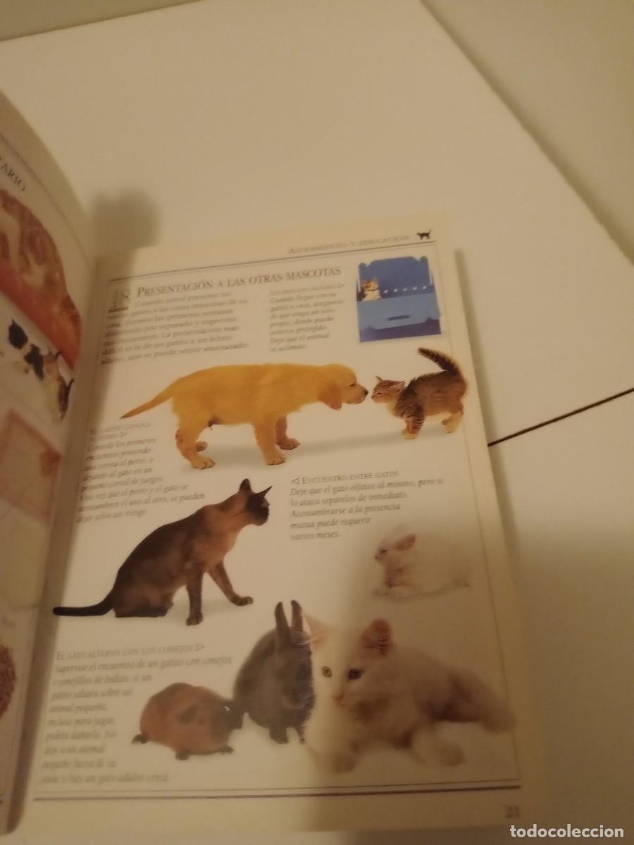 Libros de segunda mano: Libro 101 Consejos Esenciales - Cuidado del gato - Foto 4