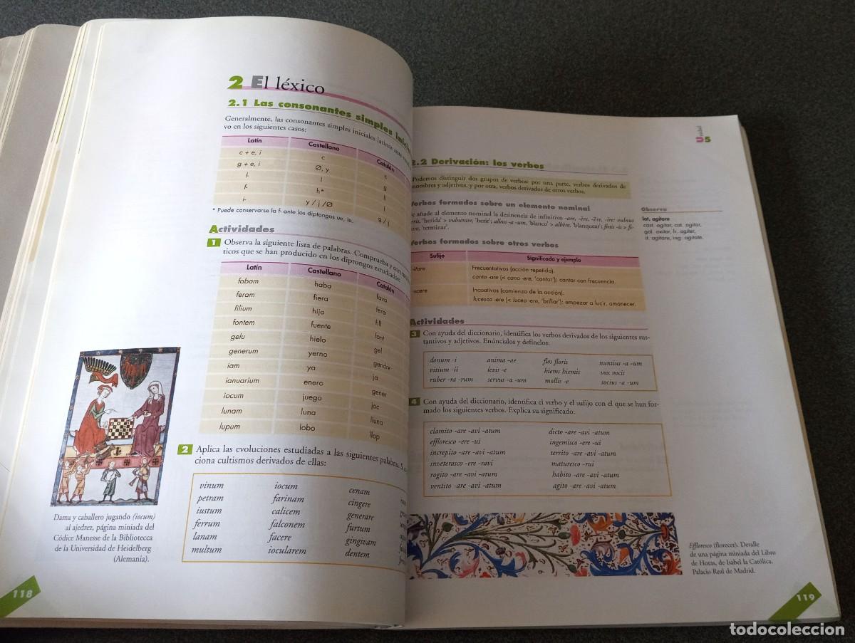 Libros de segunda mano: Bachillerato 2 Lat&iacute;n Anaya - Foto 15