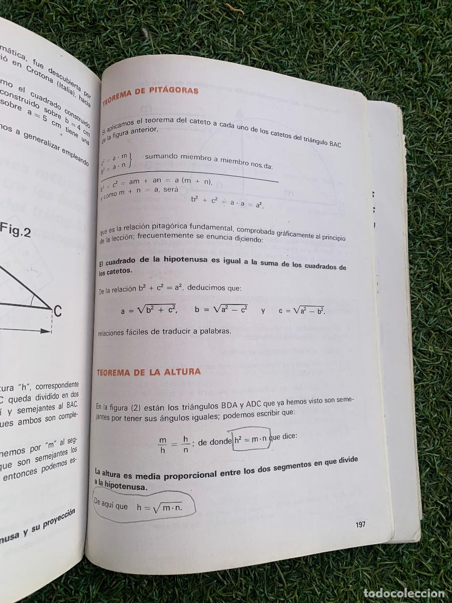 Libros de segunda mano: Nosotros y los n&uacute;meros Matem&aacute;ticas 7 EGB Edelvives - Foto 9