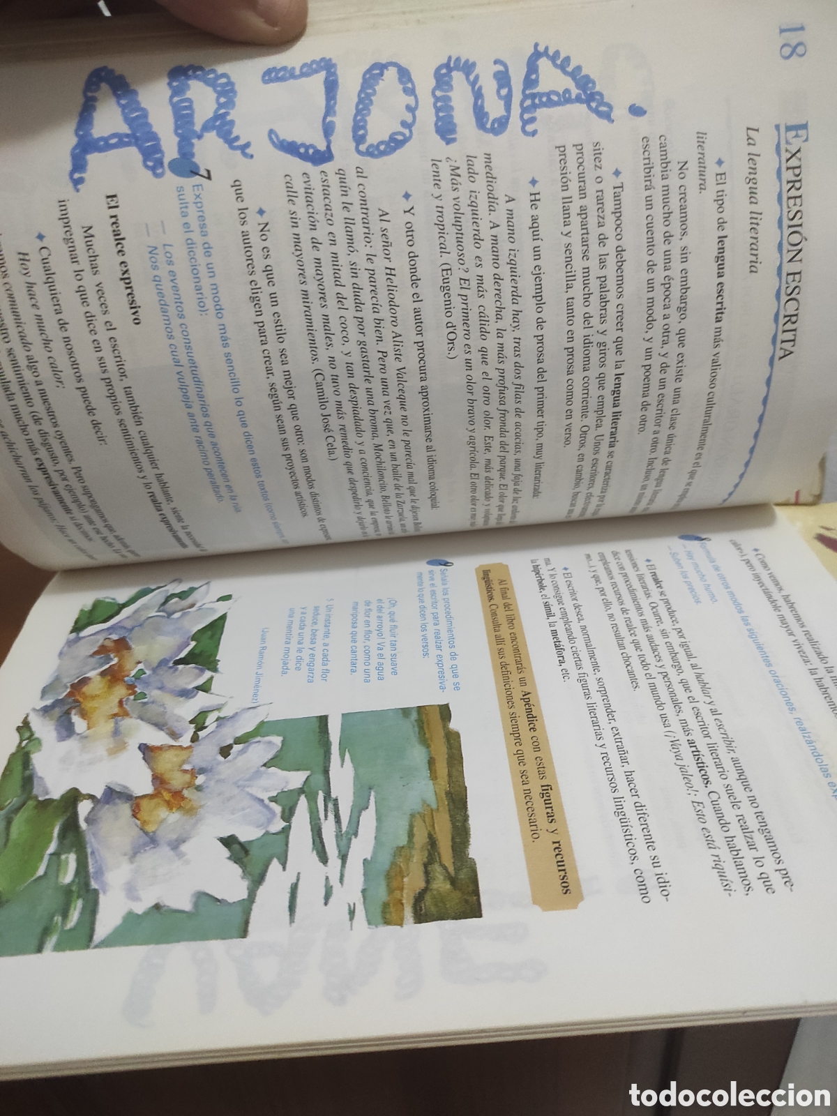 Libros de segunda mano: CURSO DE LENGUA 7 EGB. subrayado - Foto 3