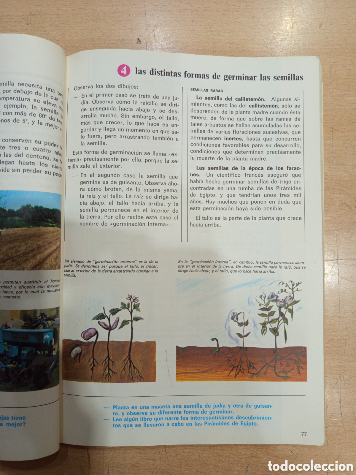 Libros de segunda mano: Cosmos 3 EGB Anaya 1978 - Foto 5