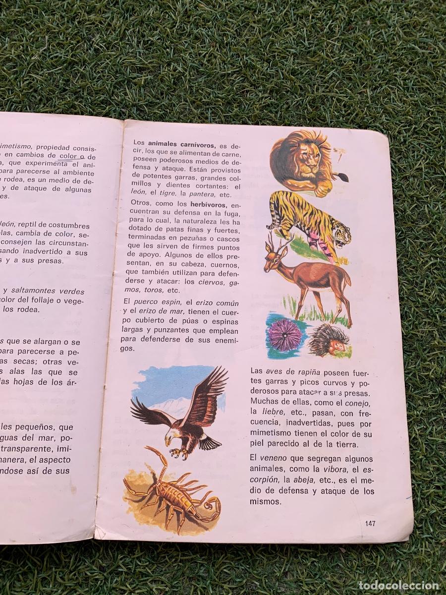 Libros de segunda mano: Observo y experimento 3 EGB Edelvives - Foto 9