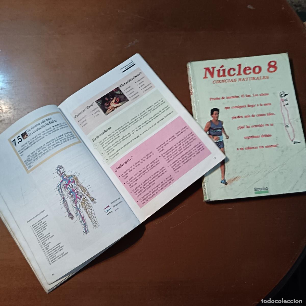 Libros de segunda mano: CIENCIAS NATURALES LIBROS NUCELO 7/8 ED BRU&Ntilde;O - Foto 3