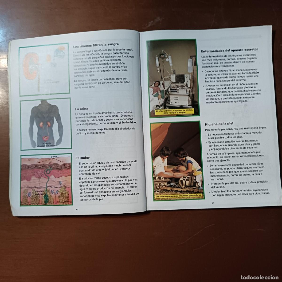 Libros de segunda mano: NATURALEZA 5 ED SANTILLANA - Foto 4