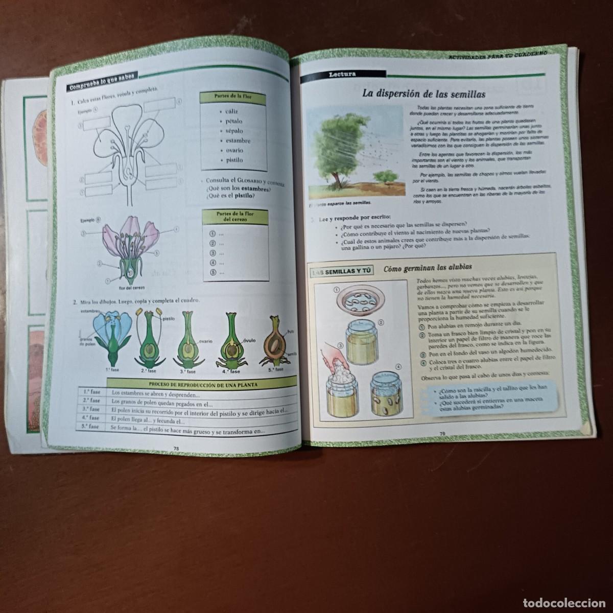 Libros de segunda mano: NATURALEZA 5 ED SANTILLANA - Foto 5