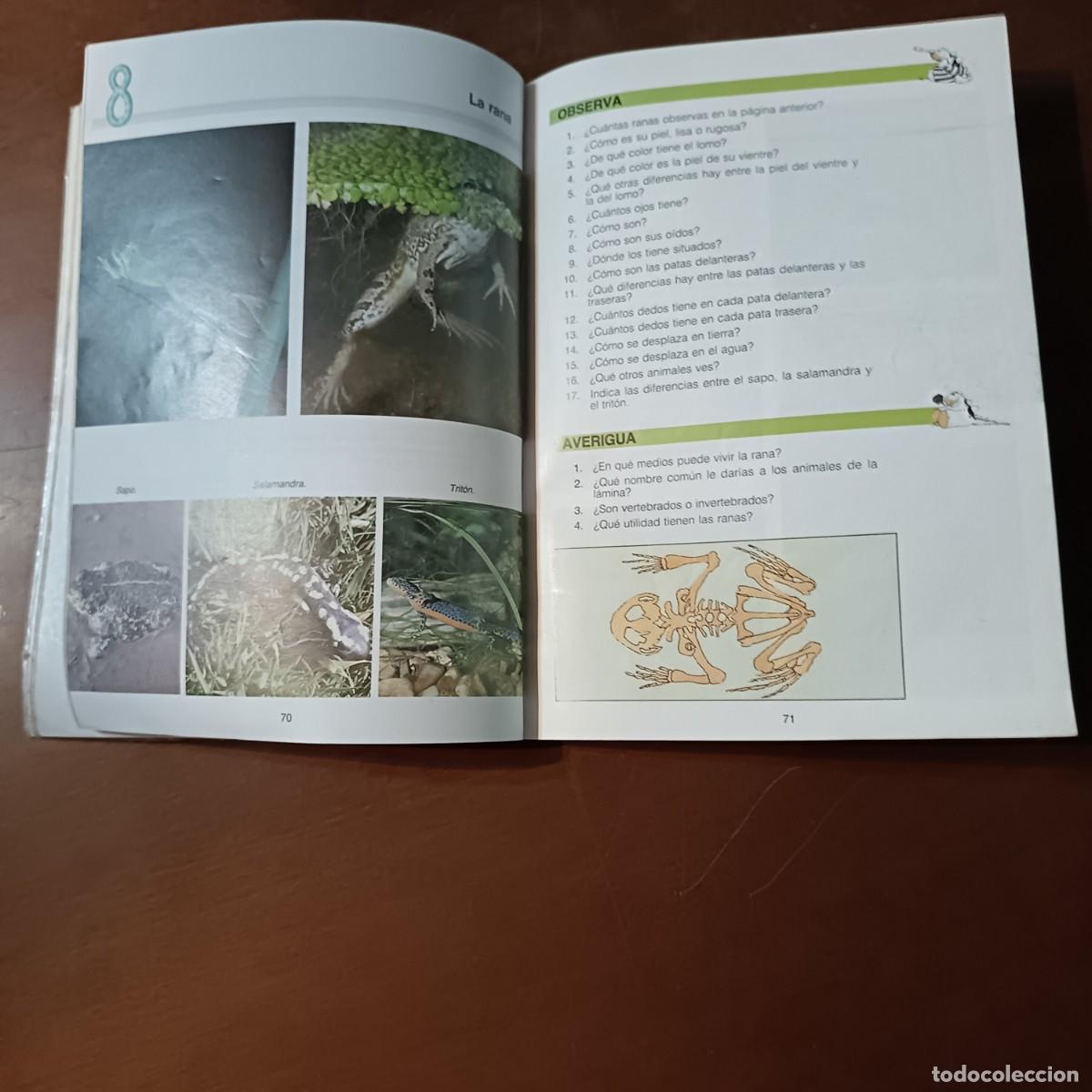 Libros de segunda mano: LIBRO DE TEXTO DE NATURALES ALERCE ED SM - Foto 4
