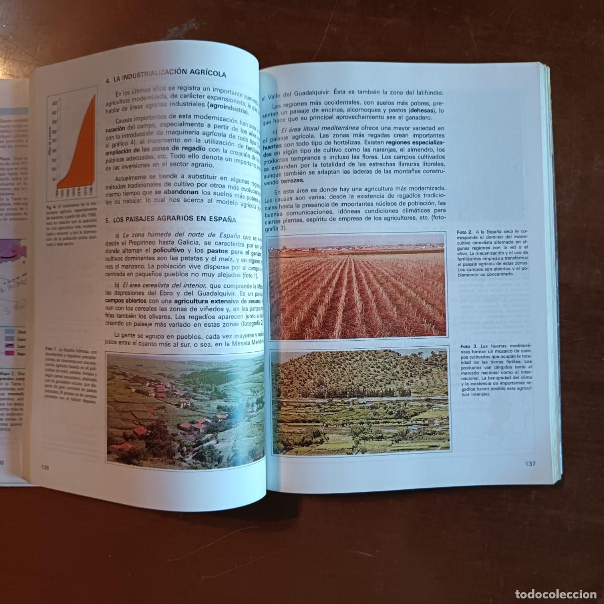 Libros de segunda mano: LIBRO DE 6&ordm; DE EGB, CIENCIAS SOCIALES. ED BRU&Ntilde;O - Foto 6