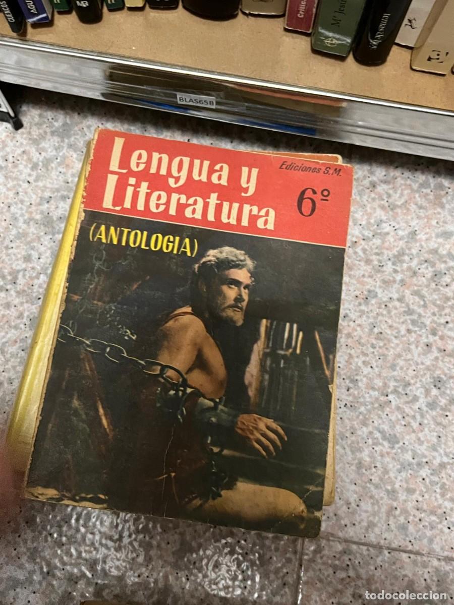 Gebrauchte B&uuml;cher: BLAS65B Lengua y Ediciones S.M. Literatura 6&deg; (ANTOLOGIA)