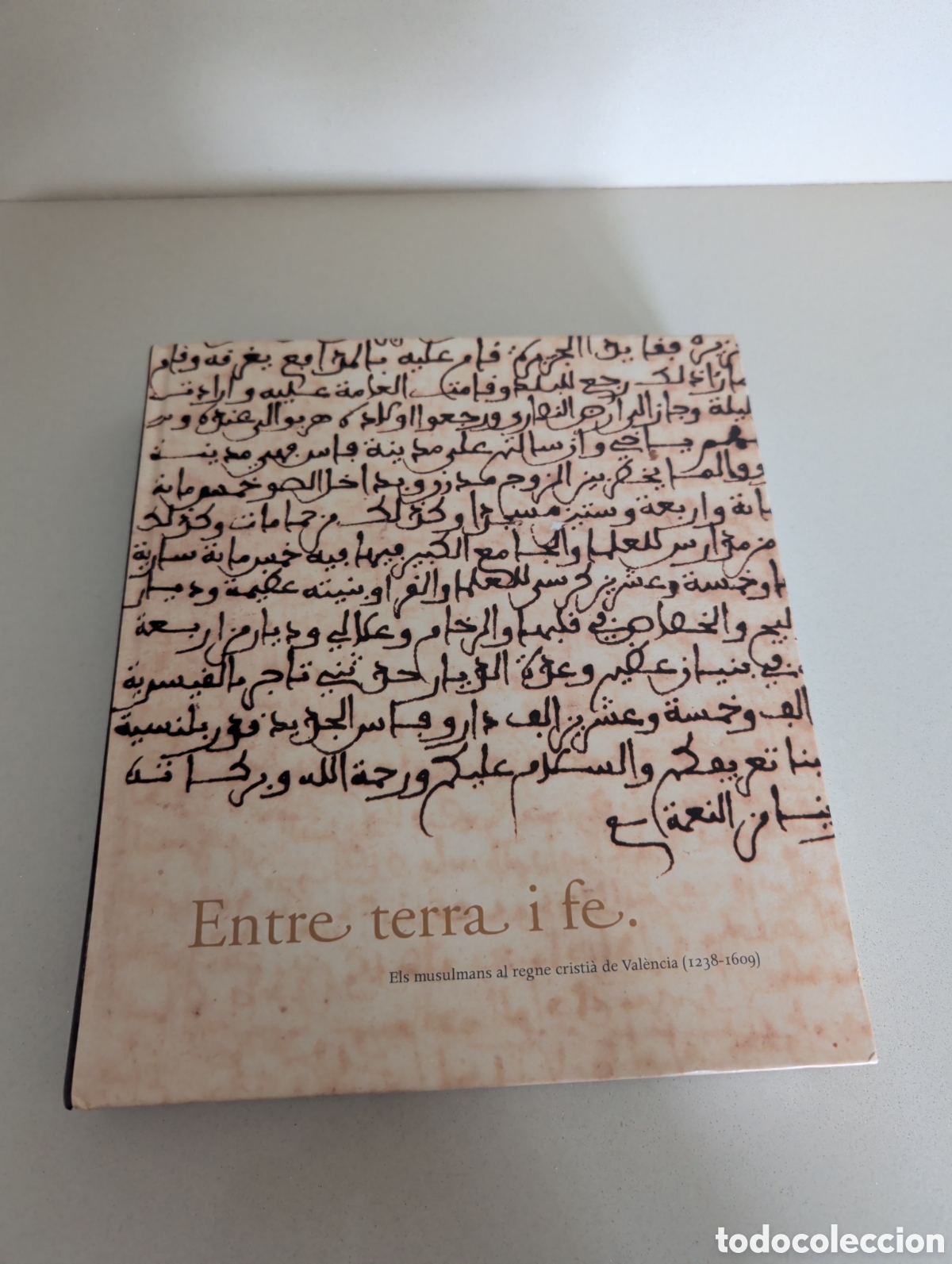 Gebrauchte B&uuml;cher: Entre Terra i fe musulmans valencia