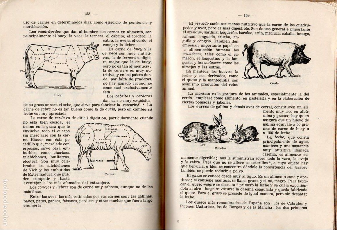 Libros de segunda mano: TESORO DE CONOCIMIENTOS &Uacute;TILES *** EDICIONES BRU&Ntilde;O - Foto 6