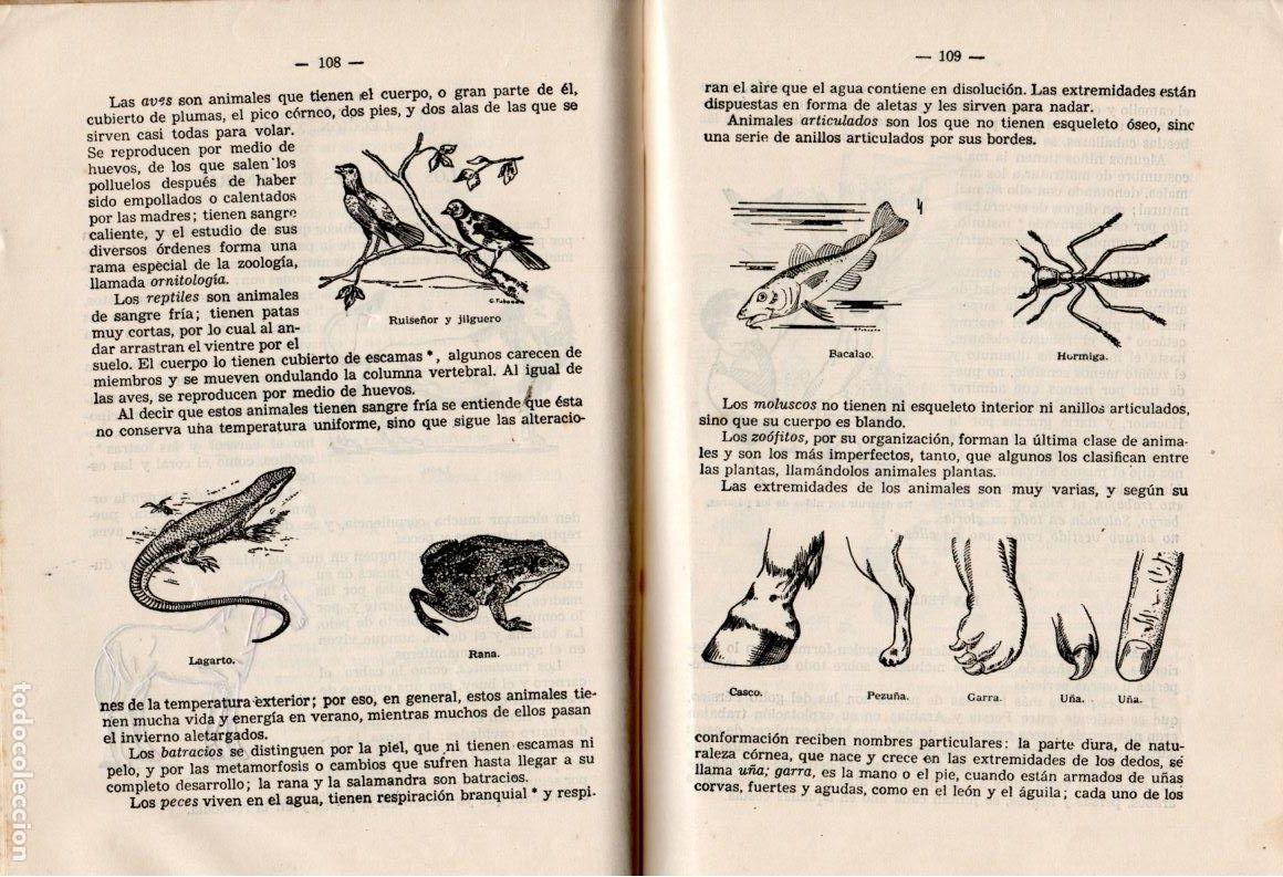 Libros de segunda mano: TESORO DE CONOCIMIENTOS &Uacute;TILES *** EDICIONES BRU&Ntilde;O - Foto 7