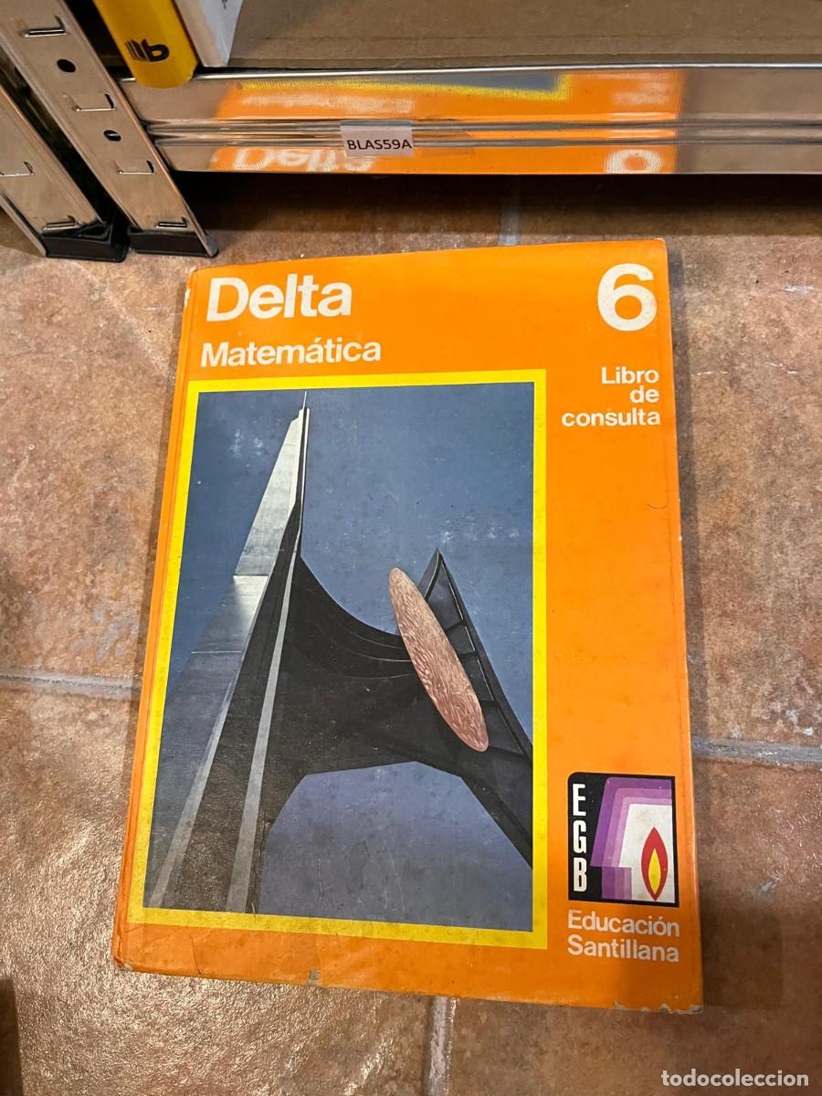 Libros de segunda mano: BLAS59A Delta 6 Matem&aacute;tica Libro de consulta SANTILLANA - Foto 1