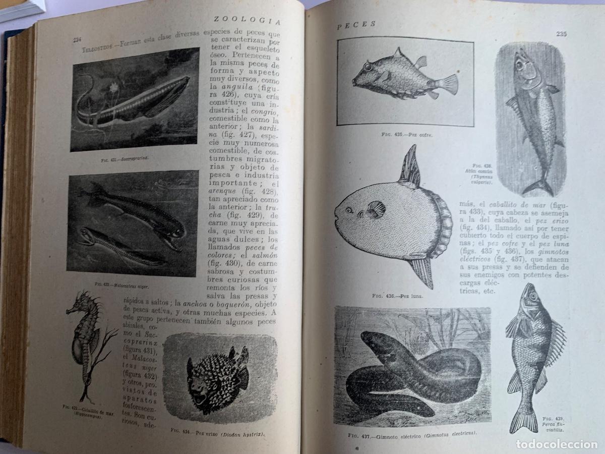 Libros de segunda mano: Ciencias F&iacute;sicas y Naturales - Foto 3