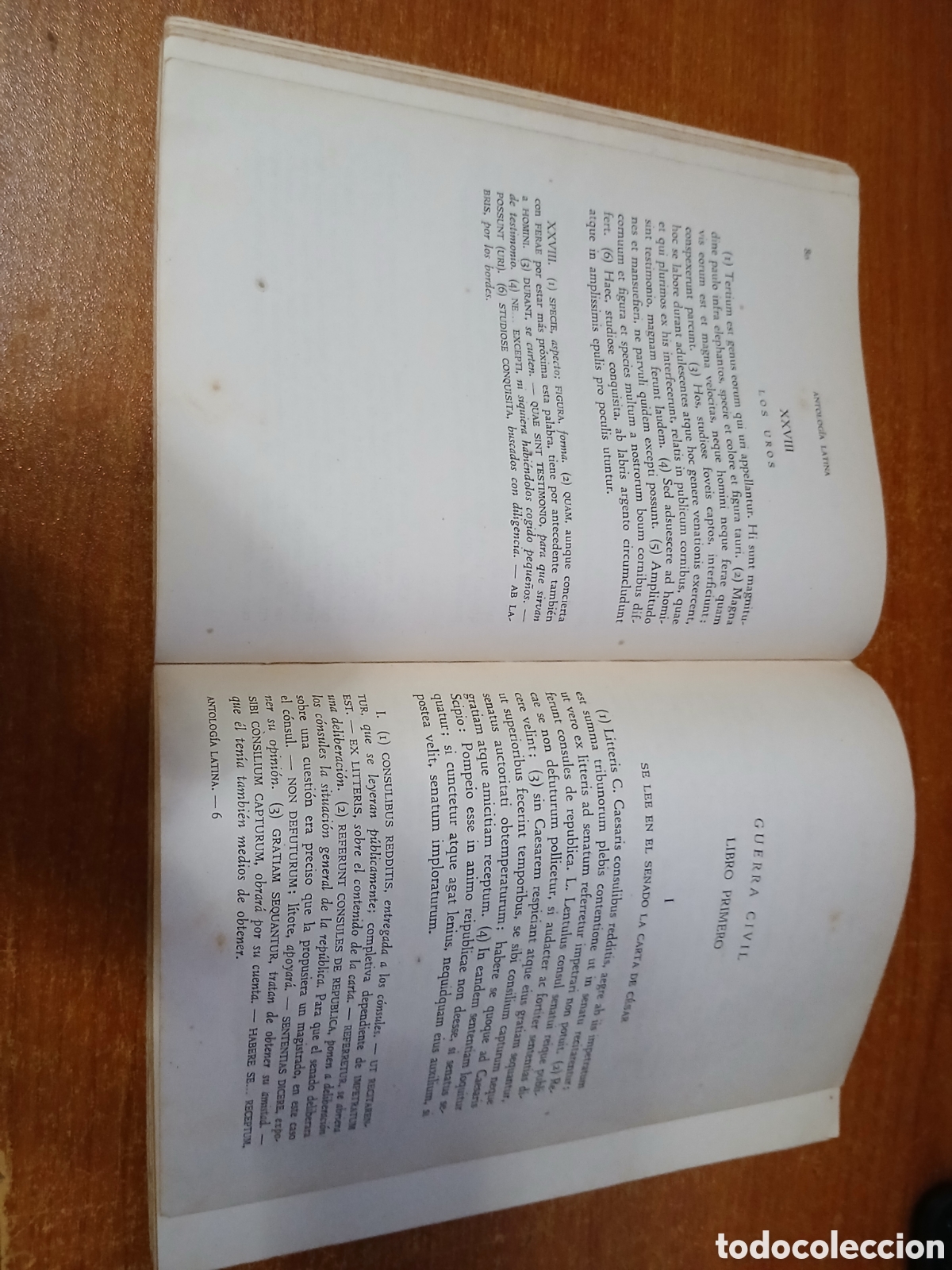 Libros de segunda mano: Libro Antolog&iacute;a Latina -Ed. Gredos 1.963- (Libro de Texto) - Foto 8
