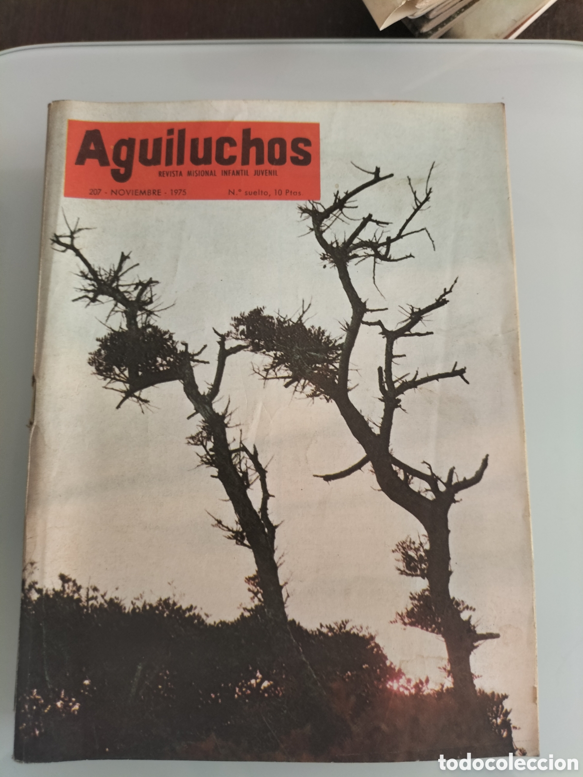Libros de segunda mano: 19 ejemplares Revista Aguiluchos. 19 ejemplares - Foto 7