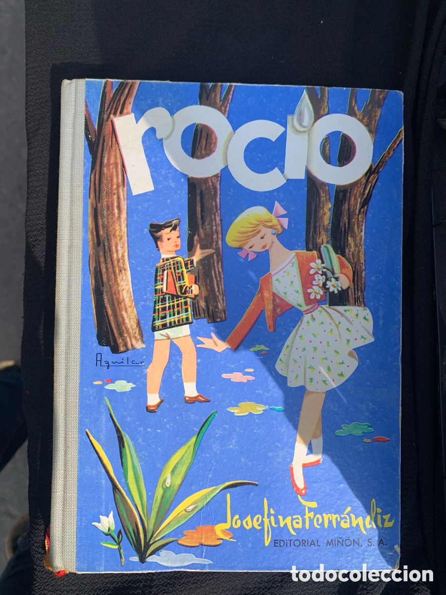 Libros de segunda mano: ROCIO JOSEFINA FERRANDIZ EDITORIAL MI&Ntilde;ON 1&ordf; EDICION - Foto 1