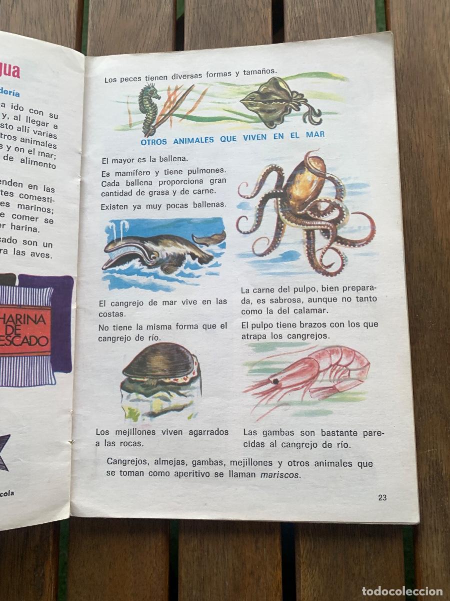 Libros de segunda mano: Observo y Experimento 2 EGB - Foto 5
