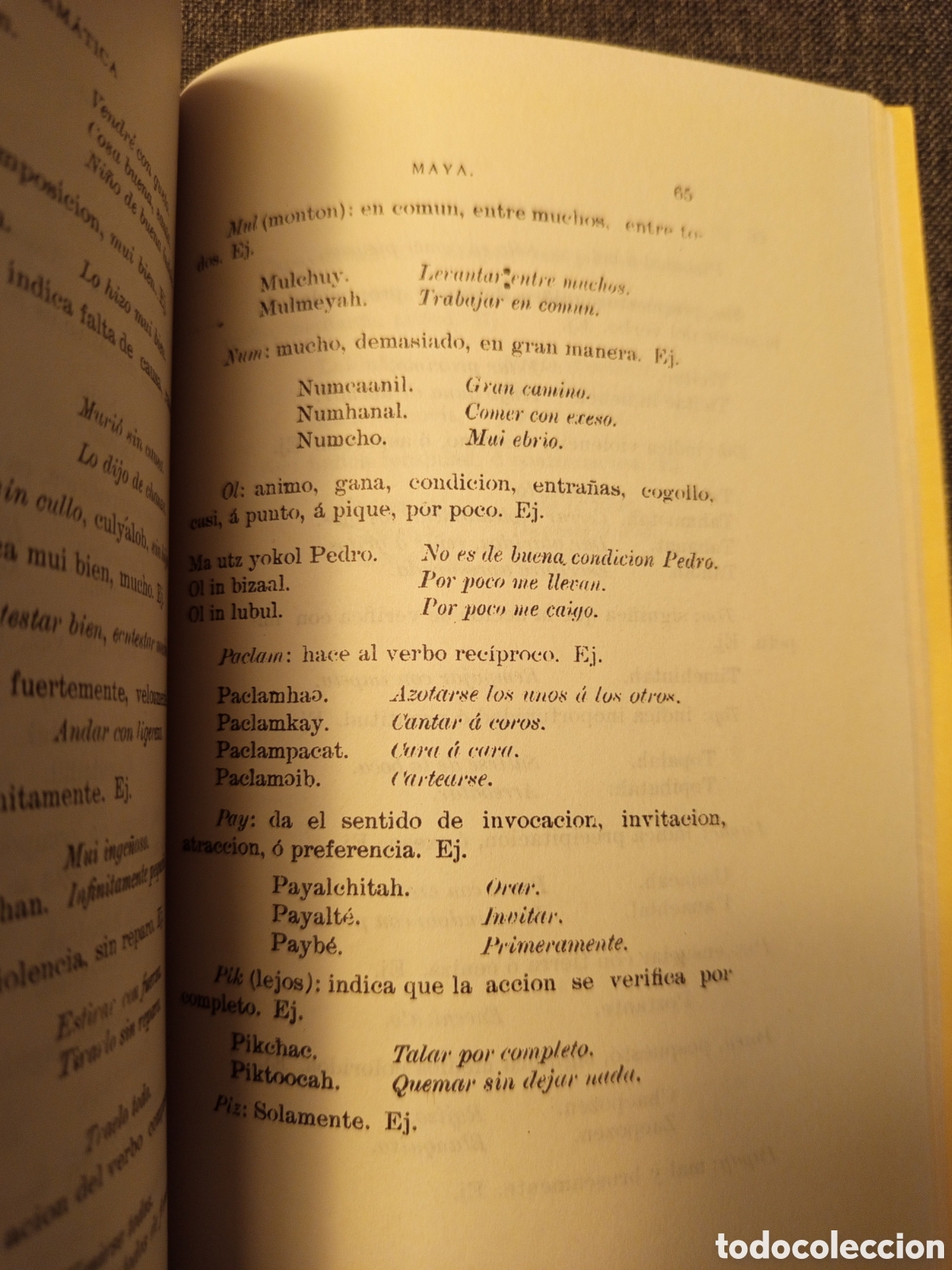 Libros de segunda mano: GRAMATICA MAYA (M. ZAVALA) - Foto 6