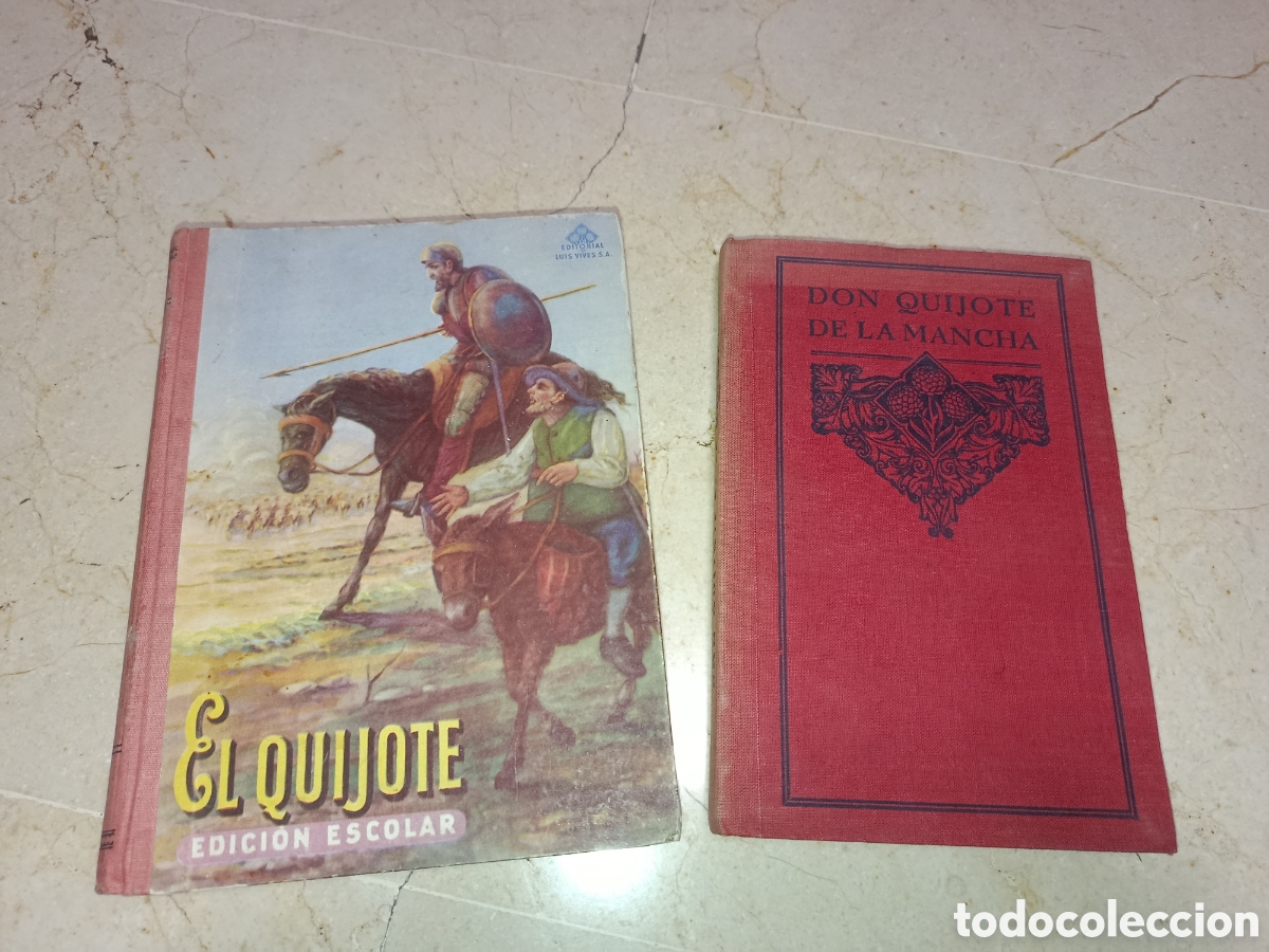 Libros de segunda mano: LIBRO EL QUIJOTE ED. ESCOLAR Y LIBRO DEL MAESTRO - Foto 1